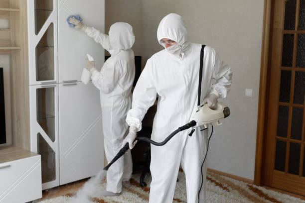 Mold Remediation for Specific Building Types